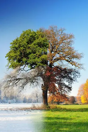 ปกนิยาย Thespian Drama - The Seasons -