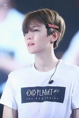 ปกนิยาย [EXO Fic]University fencing#ฟิคคณะมหาลัย{CHANBAEK ft. KD,HH}