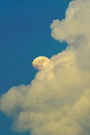 ปกนิยาย พระจันทร์กลางวัน #จอมทัพจ้าวฟ้า [YAOI]