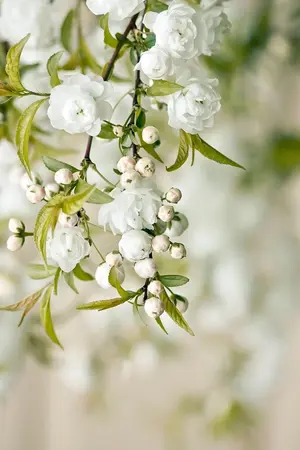 ปกนิยาย {e x o ' kaisoo} one shot (แปล) by Charming Jasmine .