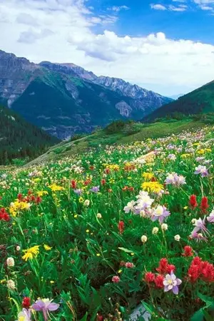 ปกนิยาย โซเล่ ภูตดอกไม้สู่โลกกว้าง