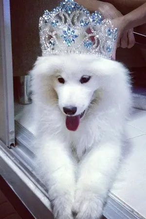 ปกนิยาย [Fic EXO] LOVE AT FIRST SIGHT แรกพบสบตา ft . exo