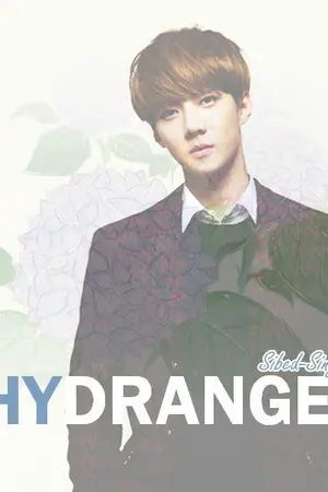 ปกนิยาย [HunHan Feat.EXO] H Y D R A N G E A