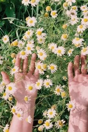 ปกนิยาย (os) nct taeten/jaedo