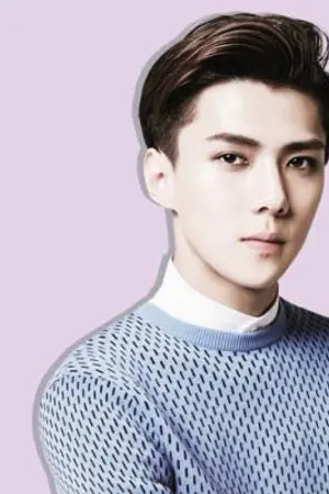 ปกนิยาย Sehun X YOU obstruct คนแบบนี้มีดีที่ความรัก