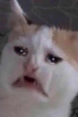 ปกนิยาย คุณคนดีที่หนึ่ง