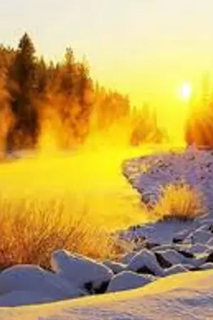 ปกนิยาย แสงตะวันในเหมันตฤดู