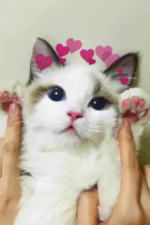 ปกนิยาย NCT (os/sf) - all about TAEYU