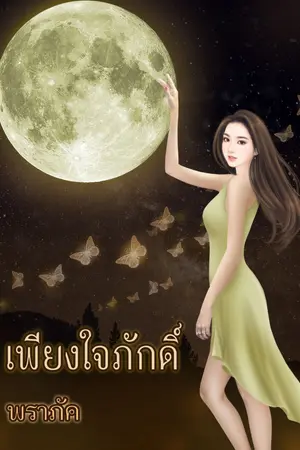 ปกนิยาย