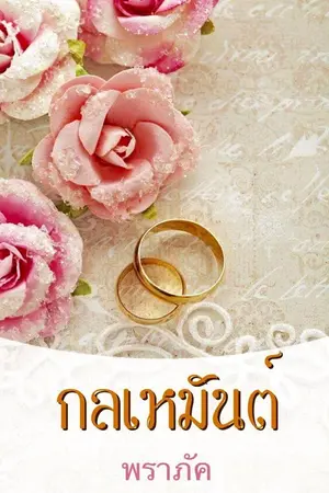 ปกนิยาย