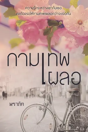 ปกนิยาย