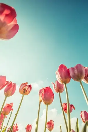 ปกนิยาย Os/sf all kpop