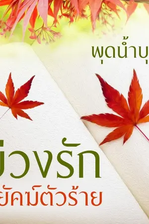 ปกนิยาย