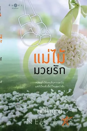 ปกนิยาย