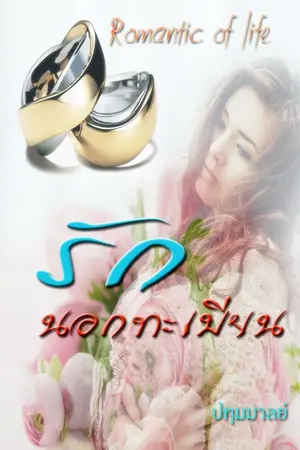 ปกนิยาย