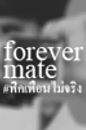 ปกนิยาย /exo: forever mate | #ฟิคเพื่อนไม่จริง (thai!au)