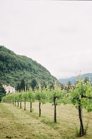 ปกนิยาย บ้านไร่ชานแบค | CHANBAEK