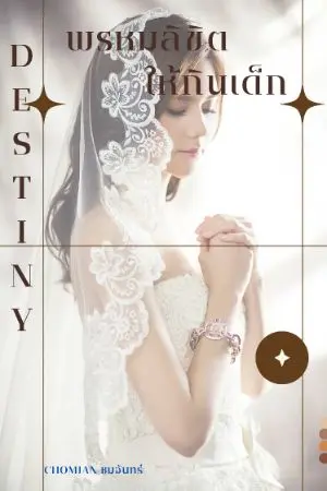 ปกนิยาย พรหมลิขิต ให้กินเด็ก (Destiny) SS.1-2 อ่านฟรี