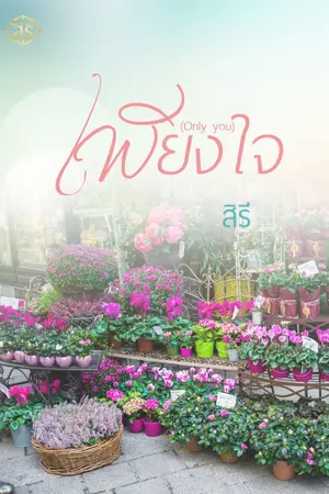 ปกนิยาย