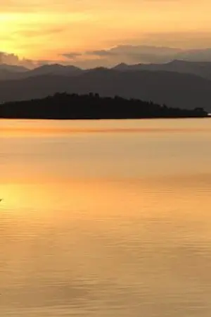 ปกนิยาย แสงตะวันสาดส่องในฤดูใบไม้ผลิ