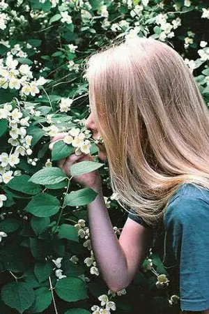 ปกนิยาย (SEVENTEEN X YOU) Guess The Love