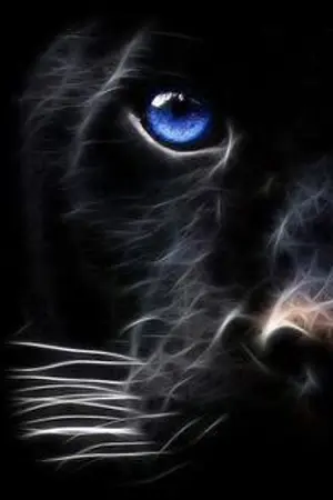 ปกนิยาย (ฟิคชานแบค) The Dark Forest l เถื่อนวิถี 20+