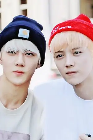 ปกนิยาย [EXO] WAIF #ฟิคเด็กหลงHH {HunHan ft. EXO}