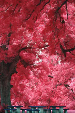 ปกนิยาย [FIC NCT] OH MY HOST l Hanta , Johnten l ツ ‏