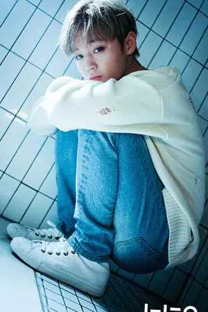 ปกนิยาย Find ME  at YOU Dream ตามหาฉันในฝันของนาย // หลินฮุน