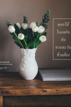 ปกนิยาย