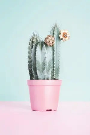 ปกนิยาย (SF/OS) ABOUT CHANBAEK