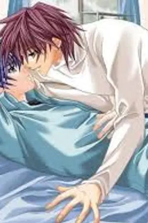 ปกนิยาย Miss กับเพื่อนร่วมห้อง