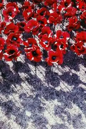 ปกนิยาย [INFINITE] Poppy Love