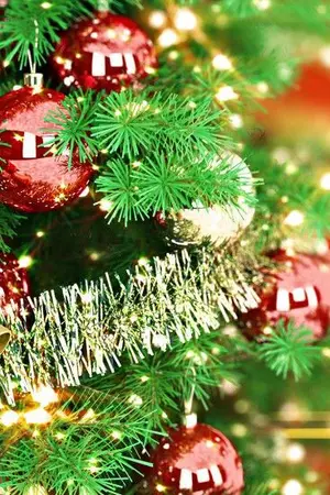 ปกนิยาย [Short Fic] INFINITE -HoJong-