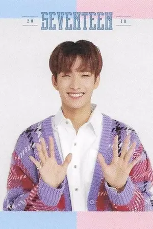 ปกนิยาย [ SEVENTEEN ] SUNSHINE - ALL SEOKMIN