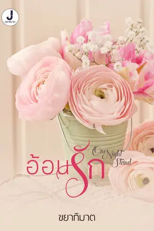 ปกนิยาย