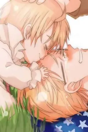 ปกนิยาย FanFiction APH: Aspect [USUK]