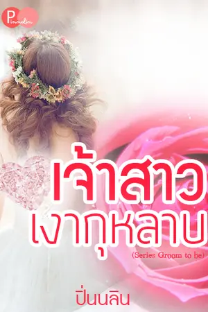 ปกนิยาย