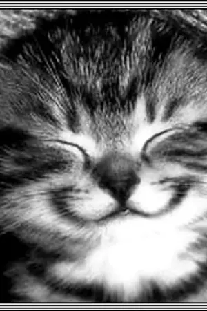 ปกนิยาย SEVENTEEN ♥ SOONHOON | SOONHOON'S DIARY