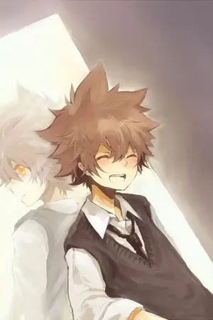 ปกนิยาย (Y)1827 [Fic Reborn] โชคชะตาของนภา