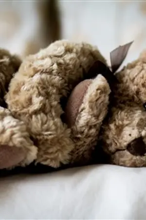 ปกนิยาย - My Lovely Stranger -