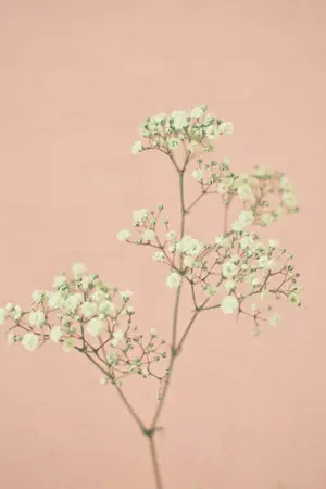 ปกนิยาย ✁ SIX IN THE HOUSE =[OS/SF MARKBAM&GOT7]