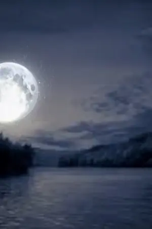 ปกนิยาย จันทร์ส่องหล้า