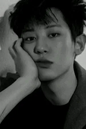 ปกนิยาย PETIT COEUR (chanbaek💛)