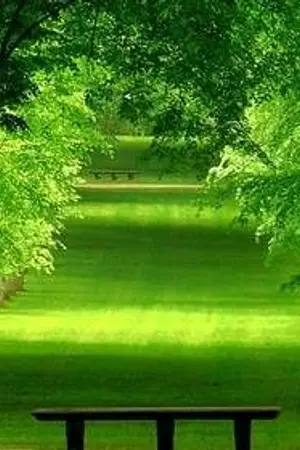 ปกนิยาย My love in your heart  เธอคือของฉันยัยเด็กบ้า