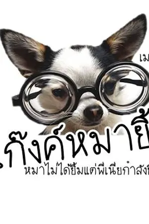 ปกนิยาย