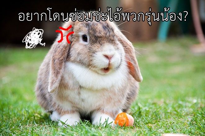 ว่าที่คุณพ่อคนต่อไปใครดีคะ?