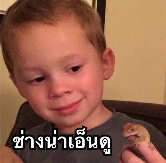 ลงเรื่องลูกๆ คีตะต่อจากตอนจบภาค หรือว่าขึ้นเป็นเรื่องใหม่มีชื่อใหม่เป็นของตัวเองดีคะ