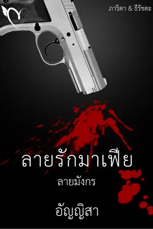 ปกนิยาย