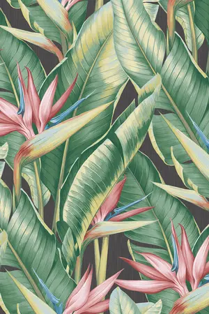 ปกนิยาย ปิดเรื่ิอง❗